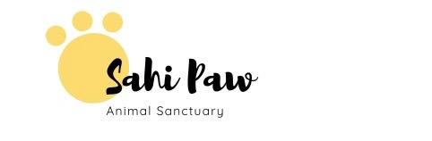 SahiPaws